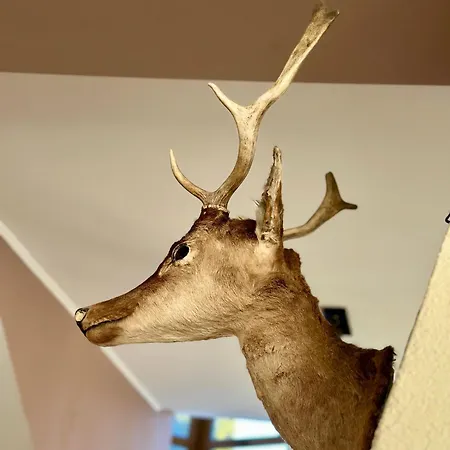 Hamars - Highland Haven Razłog